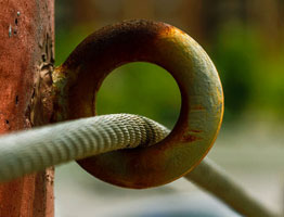 在线轰炸电话网页版